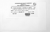 Elsinoe deslandesii image